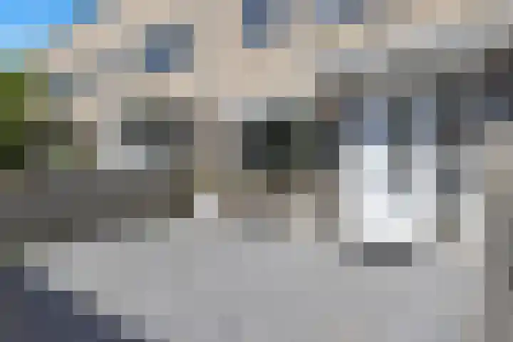 Danslaan 50 Almere thumbnail 10
