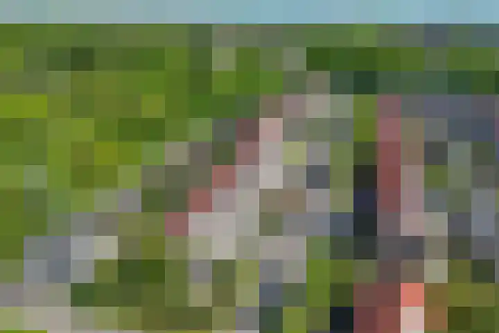 Danslaan 50 Almere thumbnail 4