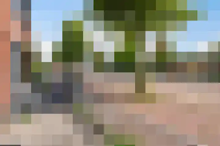 Danslaan 50 Almere thumbnail 48