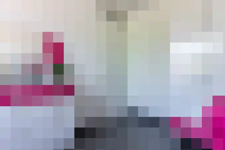 Dansschool 5 Assendelft thumbnail 27