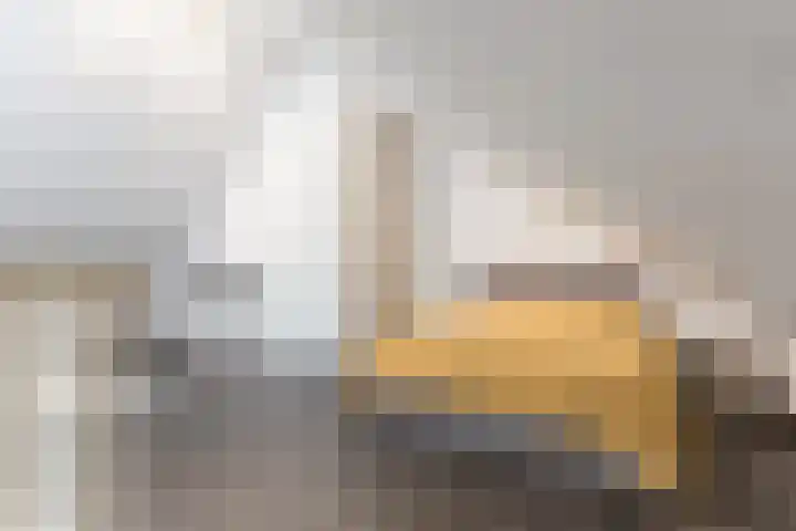 Dansschool 5 Assendelft thumbnail 33
