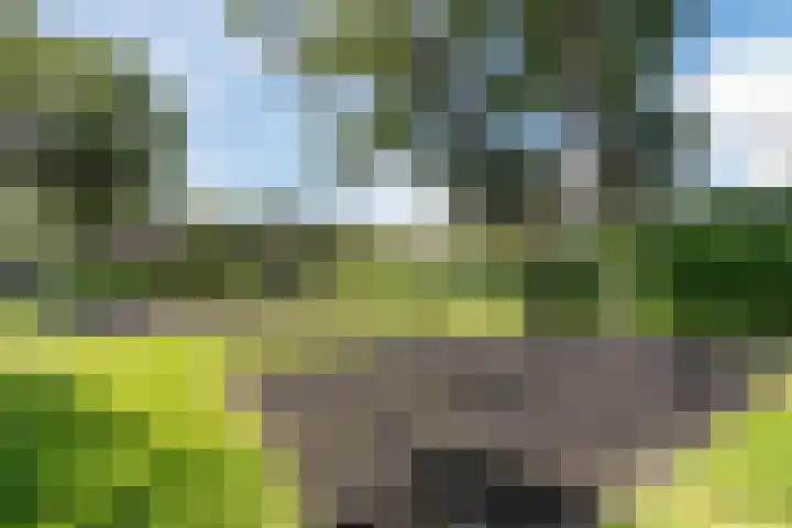 Dansschool 5 Assendelft thumbnail 46
