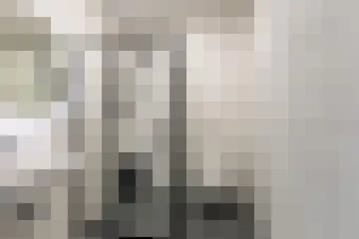Dansschool 5 Assendelft thumbnail 5