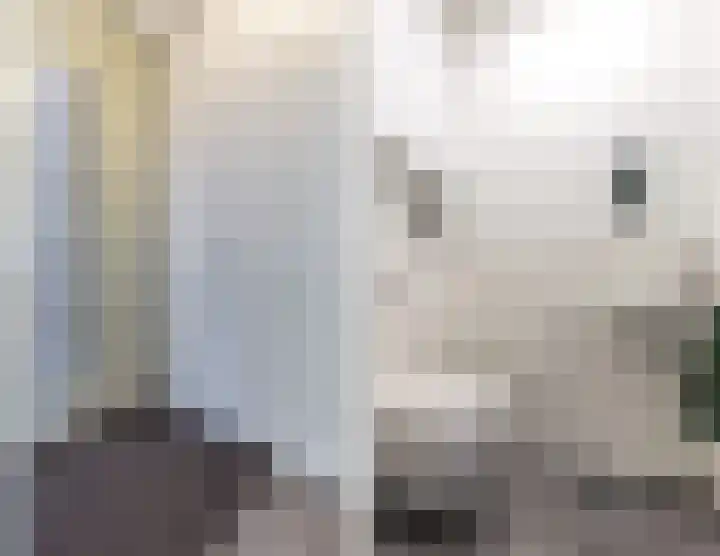 Dansschool 5 Assendelft thumbnail 8