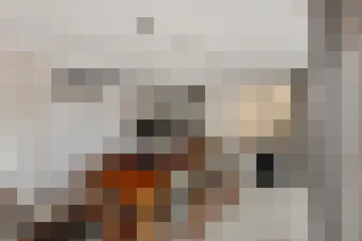 Dansvlinder 4 Standdaarbuiten thumbnail 10