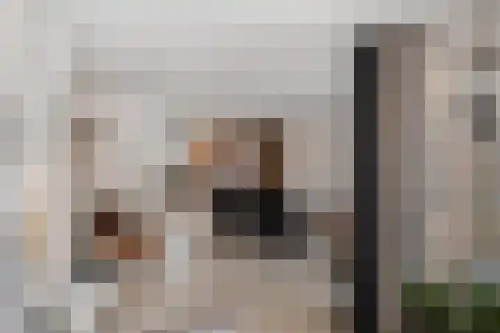 Dansvlinder 4 Standdaarbuiten thumbnail 11