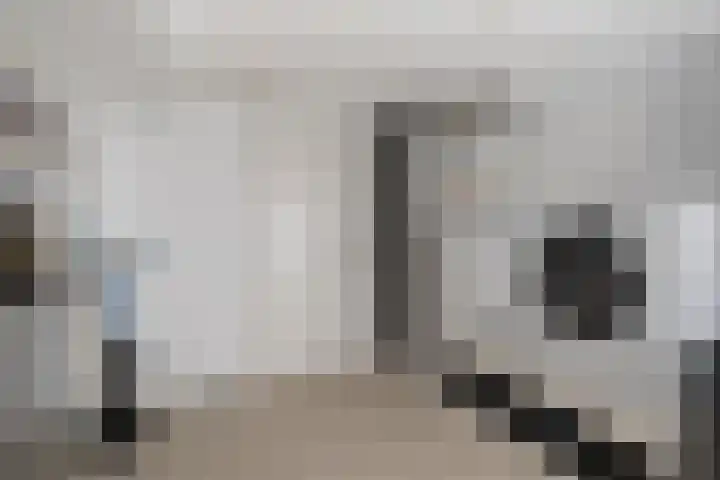Dansvlinder 4 Standdaarbuiten thumbnail 13