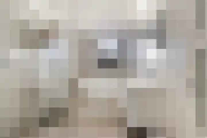 Dansvlinder 4 Standdaarbuiten thumbnail 17