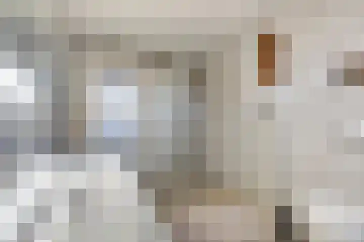Dansvlinder 4 Standdaarbuiten thumbnail 18