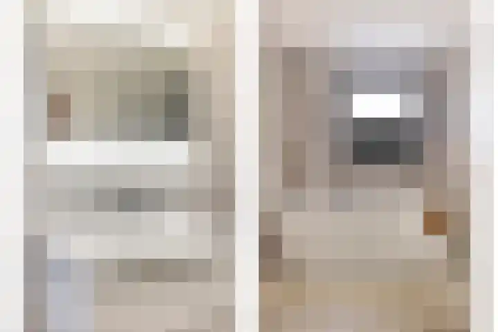 Dansvlinder 4 Standdaarbuiten thumbnail 19