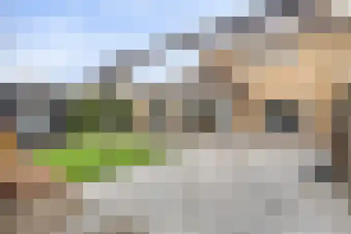 Dansvlinder 4 Standdaarbuiten thumbnail 24