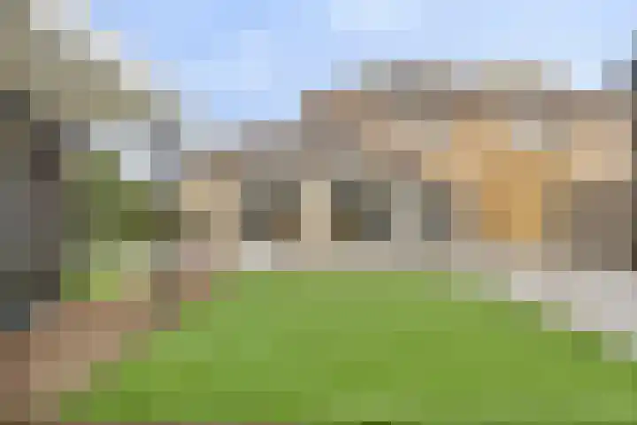 Dansvlinder 4 Standdaarbuiten thumbnail 25