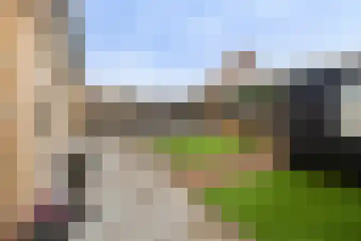 Dansvlinder 4 Standdaarbuiten thumbnail 26