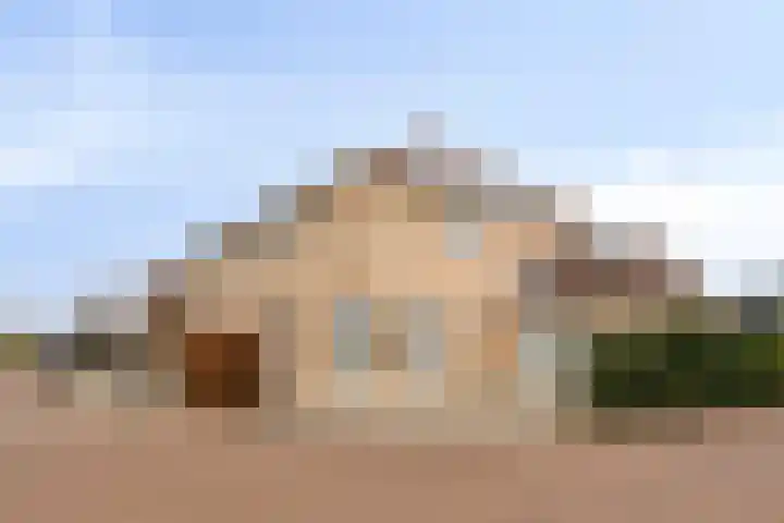 Dansvlinder 4 Standdaarbuiten thumbnail 27