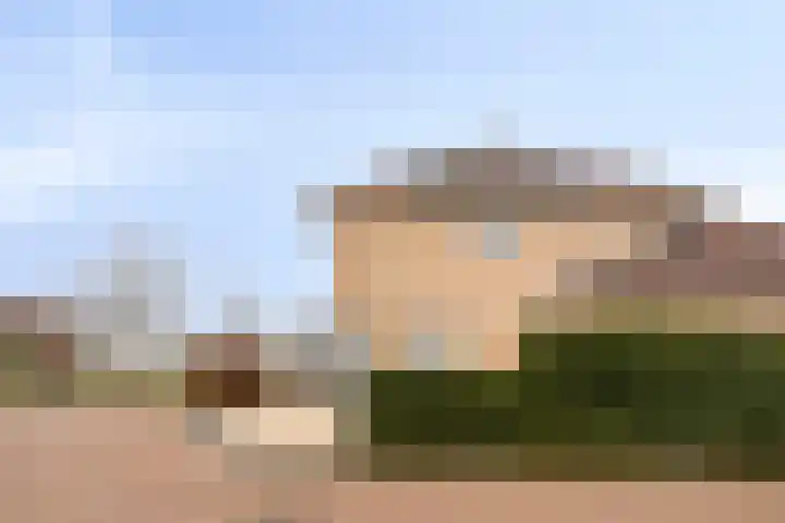 Dansvlinder 4 Standdaarbuiten thumbnail 28