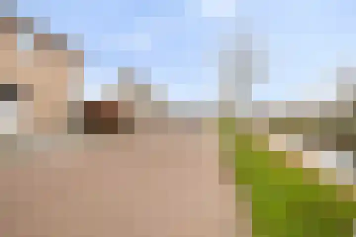 Dansvlinder 4 Standdaarbuiten thumbnail 29