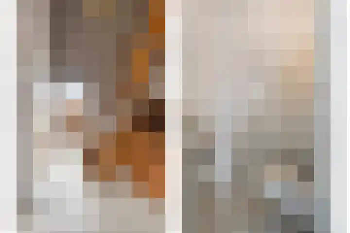 Dansvlinder 4 Standdaarbuiten foto 3