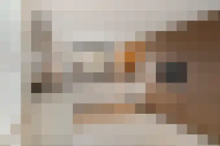 Dansvlinder 4 Standdaarbuiten thumbnail 4