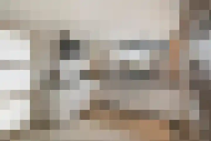 Dansvlinder 4 Standdaarbuiten thumbnail 5