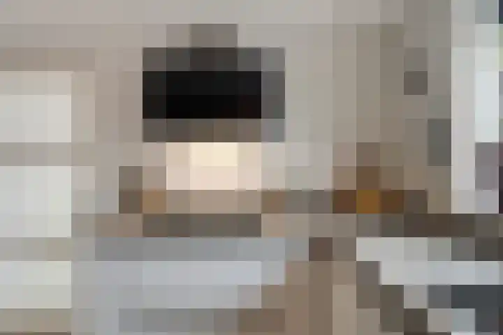Dansvlinder 4 Standdaarbuiten thumbnail 6