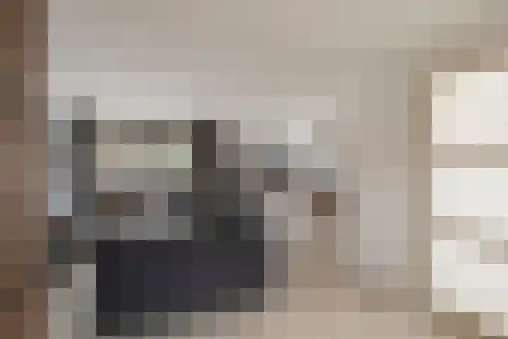 Dansvlinder 4 Standdaarbuiten thumbnail 7