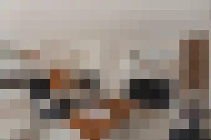 Dansvlinder 4 Standdaarbuiten thumbnail 8