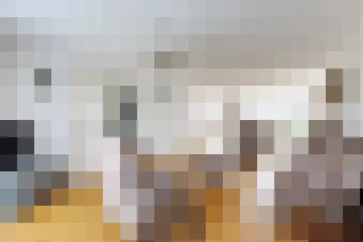 Dansvlinder 7 Standdaarbuiten thumbnail 12