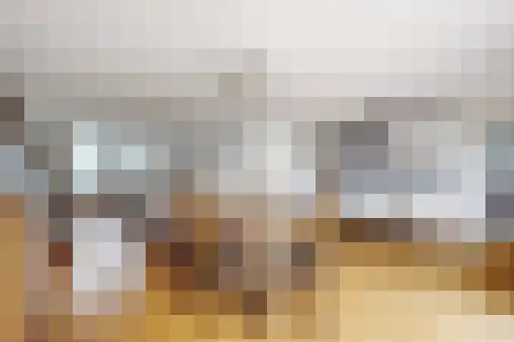 Dansvlinder 7 Standdaarbuiten foto 2