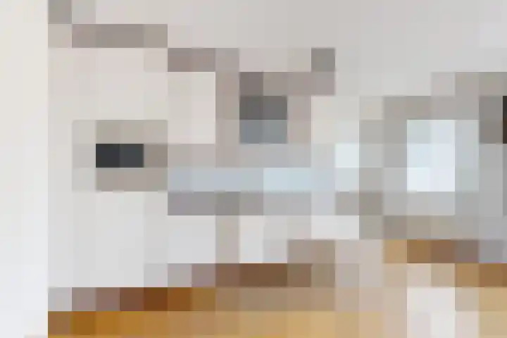 Dansvlinder 7 Standdaarbuiten thumbnail 21