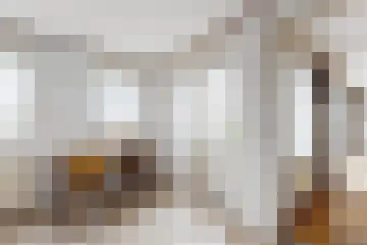 Dansvlinder 7 Standdaarbuiten thumbnail 23