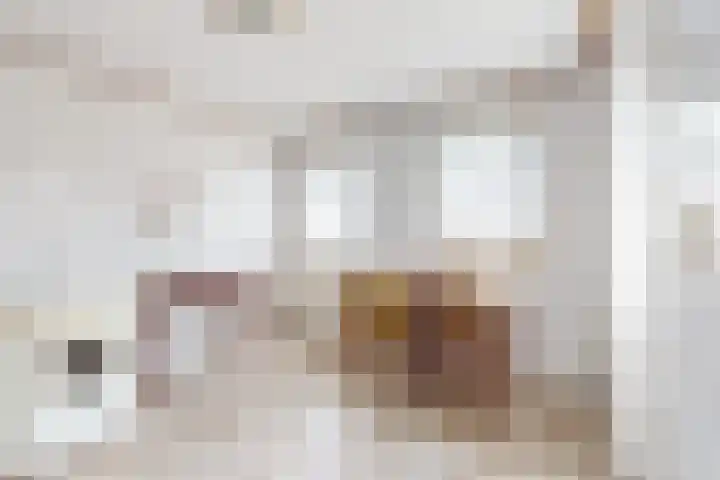 Dansvlinder 7 Standdaarbuiten thumbnail 24