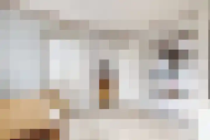 Dansvlinder 7 Standdaarbuiten thumbnail 25