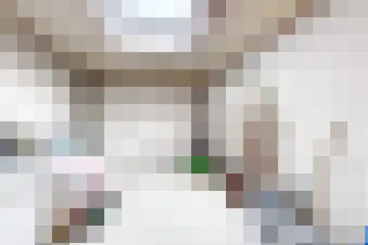 Dansvlinder 7 Standdaarbuiten thumbnail 27