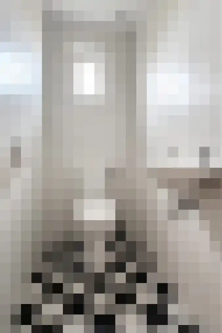Dansvlinder 7 Standdaarbuiten thumbnail 28