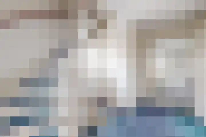 Dansvlinder 7 Standdaarbuiten thumbnail 29