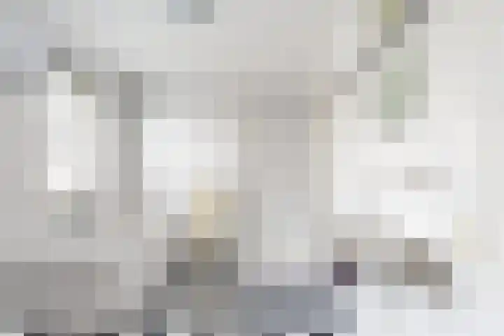 Dansvlinder 7 Standdaarbuiten thumbnail 4