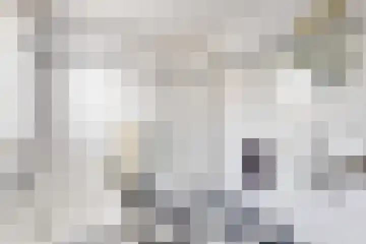 Dansvlinder 7 Standdaarbuiten thumbnail 43