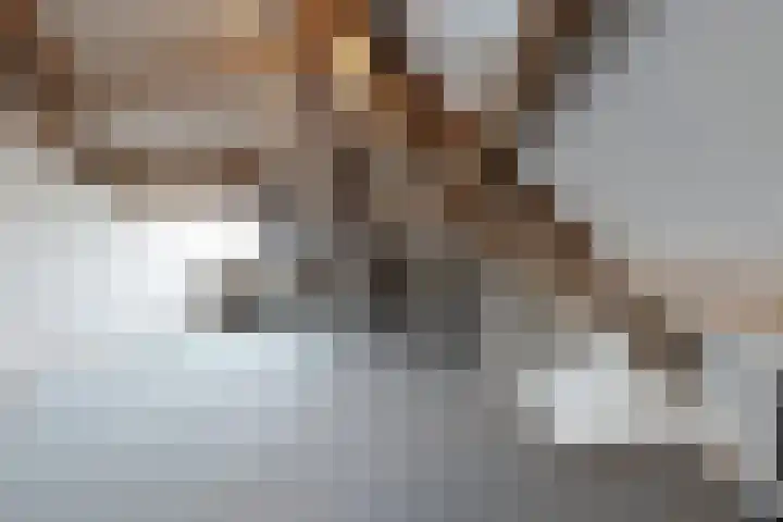 Dansvlinder 7 Standdaarbuiten thumbnail 45