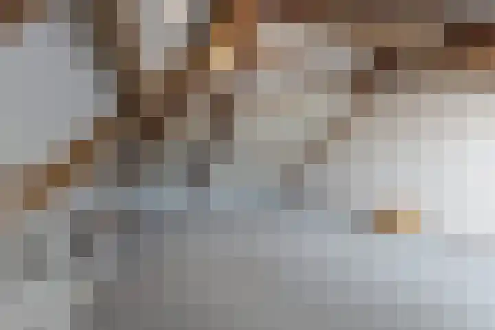 Dansvlinder 7 Standdaarbuiten thumbnail 46