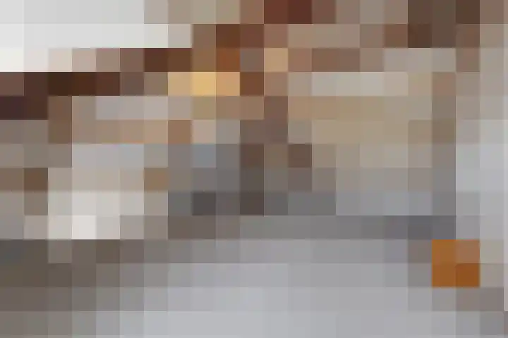 Dansvlinder 7 Standdaarbuiten thumbnail 47