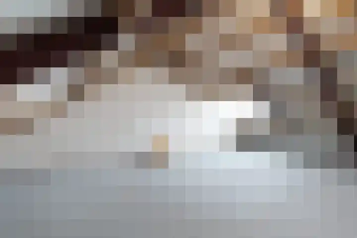 Dansvlinder 7 Standdaarbuiten thumbnail 49