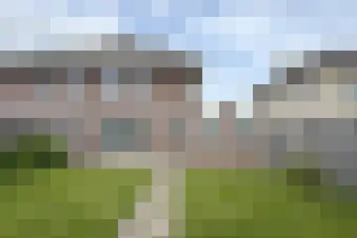 Dansvlinder 7 Standdaarbuiten thumbnail 51