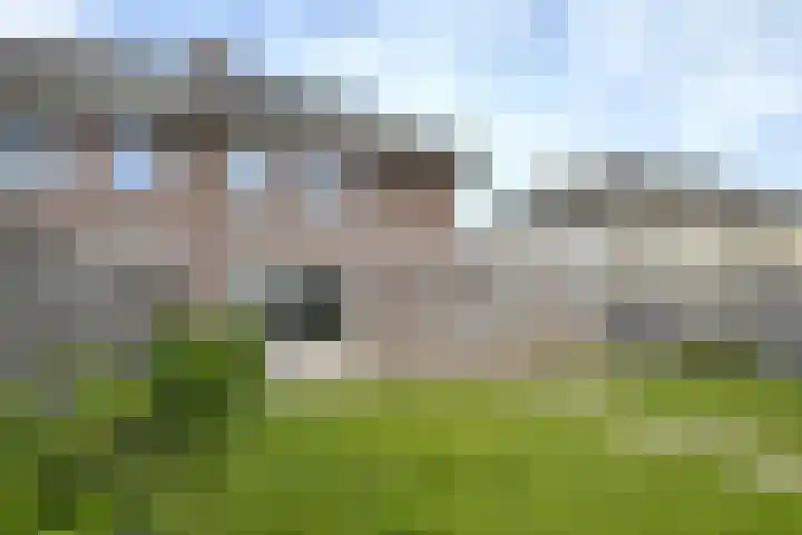 Dansvlinder 7 Standdaarbuiten thumbnail 52
