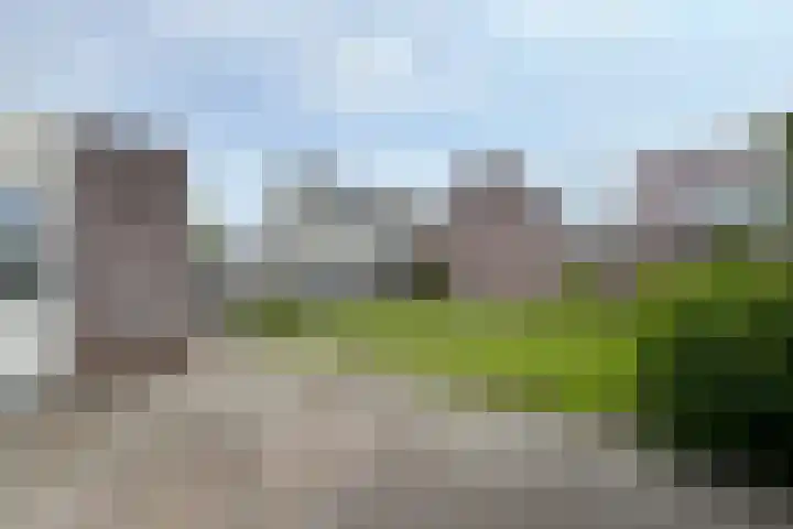 Dansvlinder 7 Standdaarbuiten thumbnail 53
