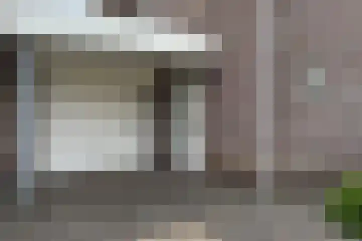 Dansvlinder 7 Standdaarbuiten thumbnail 55