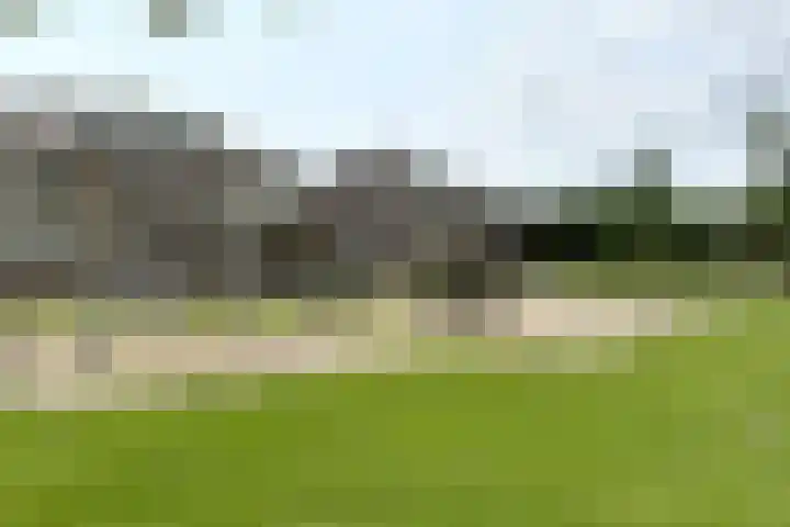 Dansvlinder 7 Standdaarbuiten thumbnail 6