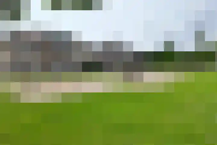 Dansvlinder 7 Standdaarbuiten thumbnail 61