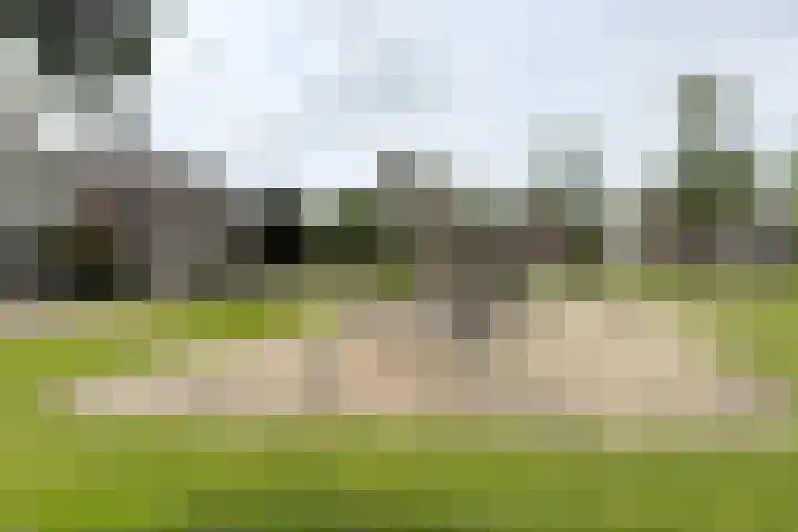 Dansvlinder 7 Standdaarbuiten thumbnail 63