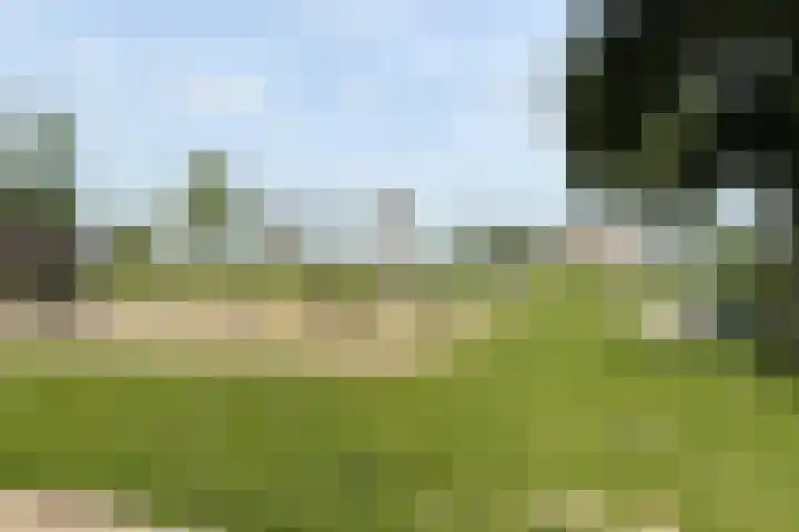 Dansvlinder 7 Standdaarbuiten thumbnail 64