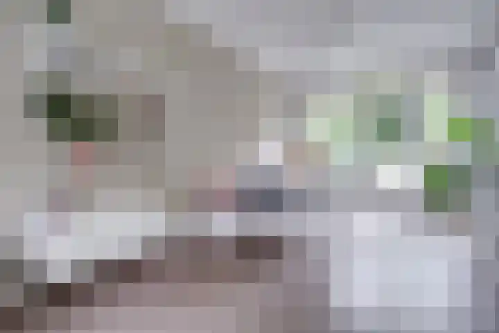 Dantelaan 105 Utrecht thumbnail 10